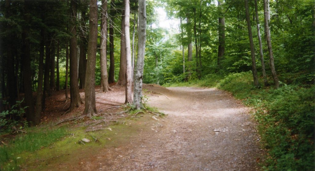 chemin de forêt